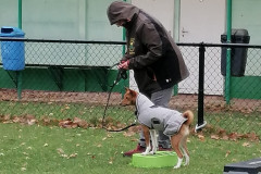 WhatsApp-Image-2025-12-06-at-18.19.14-2