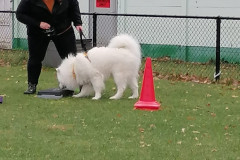 WhatsApp-Image-2025-12-06-at-18.19.14-3