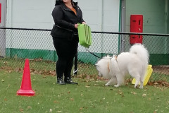 WhatsApp-Image-2025-12-06-at-18.19.14-4