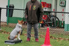 WhatsApp-Image-2025-12-06-at-18.19.14-5