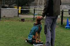 WhatsApp-Image-2025-12-06-at-18.19.16-1