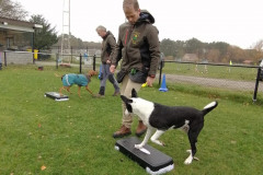 WhatsApp-Image-2025-12-06-at-18.19.16