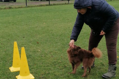 WhatsApp-Image-2025-12-06-at-18.19.18-1