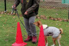 WhatsApp-Image-2025-12-06-at-18.19.18-3