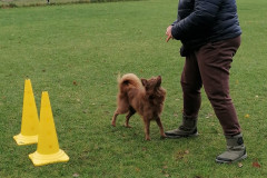 WhatsApp-Image-2025-12-06-at-18.19.18