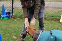 WhatsApp-Image-2025-12-06-at-18.19.19-1