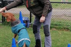 WhatsApp-Image-2025-12-06-at-18.19.19-2