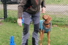 WhatsApp-Image-2025-12-06-at-18.19.19-3