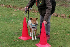 WhatsApp-Image-2025-12-06-at-18.19.19