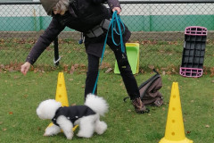 WhatsApp-Image-2025-12-06-at-18.19.20