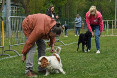 BHV-Dogdance-Demo-workshop1-5-2022-11