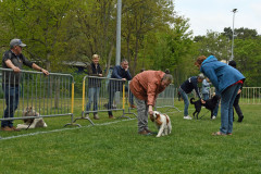 BHV-Dogdance-Demo-workshop1-5-2022-12