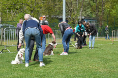 BHV-Dogdance-Demo-workshop1-5-2022-5