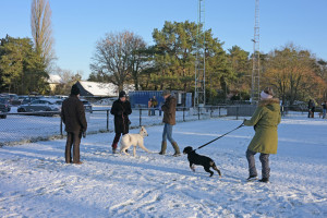 Eerste sneeuwles 2026