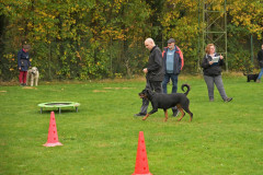 Bram-1