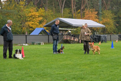 Lieve-C-1