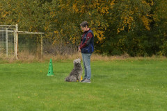 Lieve-D-B-2