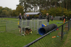 Sfeerbeelden-3