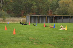 Sfeerbeelden-5