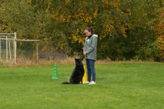 Sharon-2