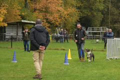Wout-1