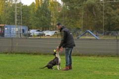 Wout-2