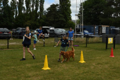 BHV-Roefeldag-28-6-25-12