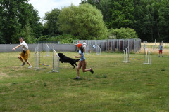 BHV-Roefeldag-28-6-25-19