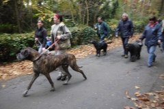 Sint Hubertusviering 2011-52