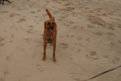 DSC09171